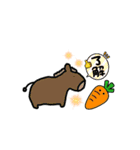 生き物、動物（個別スタンプ：12）