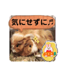 尊すぎるスタンプ♡（個別スタンプ：8）