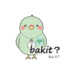 【タガログ語】ひらめきインコのあじゃすけ（個別スタンプ：16）