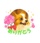コロンの毎日2（個別スタンプ：4）