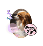 コロンの毎日2（個別スタンプ：6）