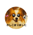 コロンの毎日2（個別スタンプ：21）
