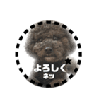 uni uni stamp（個別スタンプ：4）