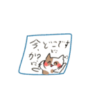 白ねこちゃんのスタンプ2（個別スタンプ：21）