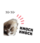 大人しい犬(敬語)ポメラニアン改（個別スタンプ：28）