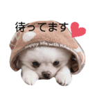 わんわんわんわんわんわん2（個別スタンプ：2）