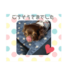わんわんわんわんわんわん2（個別スタンプ：7）