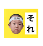葉巻 鯛像 1（個別スタンプ：7）