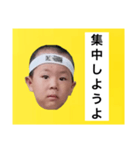 葉巻 鯛像 1（個別スタンプ：11）