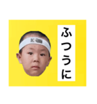 葉巻 鯛像 1（個別スタンプ：16）