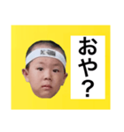 葉巻 鯛像 1（個別スタンプ：17）