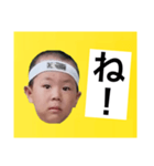 葉巻 鯛像 1（個別スタンプ：20）