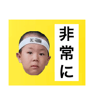 葉巻 鯛像 1（個別スタンプ：23）