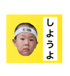 葉巻 鯛像 1（個別スタンプ：29）