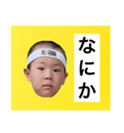 葉巻 鯛像 1（個別スタンプ：31）