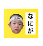 葉巻 鯛像 1（個別スタンプ：32）