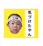 葉巻 鯛像 1（個別スタンプ：34）