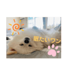 ♡はーちゃーん♡（個別スタンプ：5）
