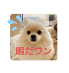 ♡はーちゃーん♡（個別スタンプ：8）