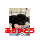 まるまるまるもりもりもり（個別スタンプ：6）