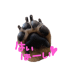 ゃぉぃちゃんの♡♡♡（個別スタンプ：27）