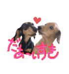ゃぉぃちゃんの♡♡♡（個別スタンプ：37）