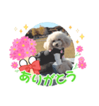 みなみ202212（個別スタンプ：1）