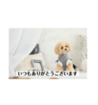 みなみ202212（個別スタンプ：4）