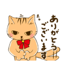 ねこたん あいさつ（個別スタンプ：3）