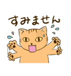 ねこたん あいさつ（個別スタンプ：14）