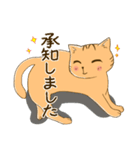 ねこたん あいさつ（個別スタンプ：21）