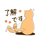 ねこたん あいさつ（個別スタンプ：24）