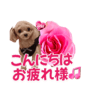 トイプーティナちゃん13薔薇とデカ文字編（個別スタンプ：2）