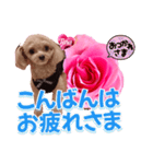 トイプーティナちゃん13薔薇とデカ文字編（個別スタンプ：3）