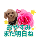 トイプーティナちゃん13薔薇とデカ文字編（個別スタンプ：4）