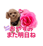 トイプーティナちゃん13薔薇とデカ文字編（個別スタンプ：5）
