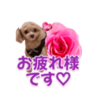 トイプーティナちゃん13薔薇とデカ文字編（個別スタンプ：6）