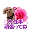 トイプーティナちゃん13薔薇とデカ文字編（個別スタンプ：7）