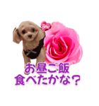 トイプーティナちゃん13薔薇とデカ文字編（個別スタンプ：9）