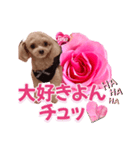 トイプーティナちゃん13薔薇とデカ文字編（個別スタンプ：19）