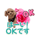 トイプーティナちゃん13薔薇とデカ文字編（個別スタンプ：22）