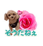 トイプーティナちゃん13薔薇とデカ文字編（個別スタンプ：23）