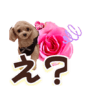 トイプーティナちゃん13薔薇とデカ文字編（個別スタンプ：25）