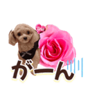 トイプーティナちゃん13薔薇とデカ文字編（個別スタンプ：26）