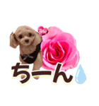 トイプーティナちゃん13薔薇とデカ文字編（個別スタンプ：27）