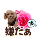 トイプーティナちゃん13薔薇とデカ文字編（個別スタンプ：28）