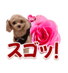 トイプーティナちゃん13薔薇とデカ文字編（個別スタンプ：29）