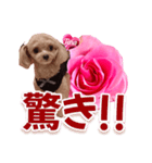 トイプーティナちゃん13薔薇とデカ文字編（個別スタンプ：32）