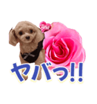 トイプーティナちゃん13薔薇とデカ文字編（個別スタンプ：33）
