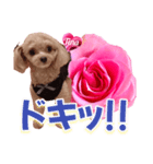 トイプーティナちゃん13薔薇とデカ文字編（個別スタンプ：35）
